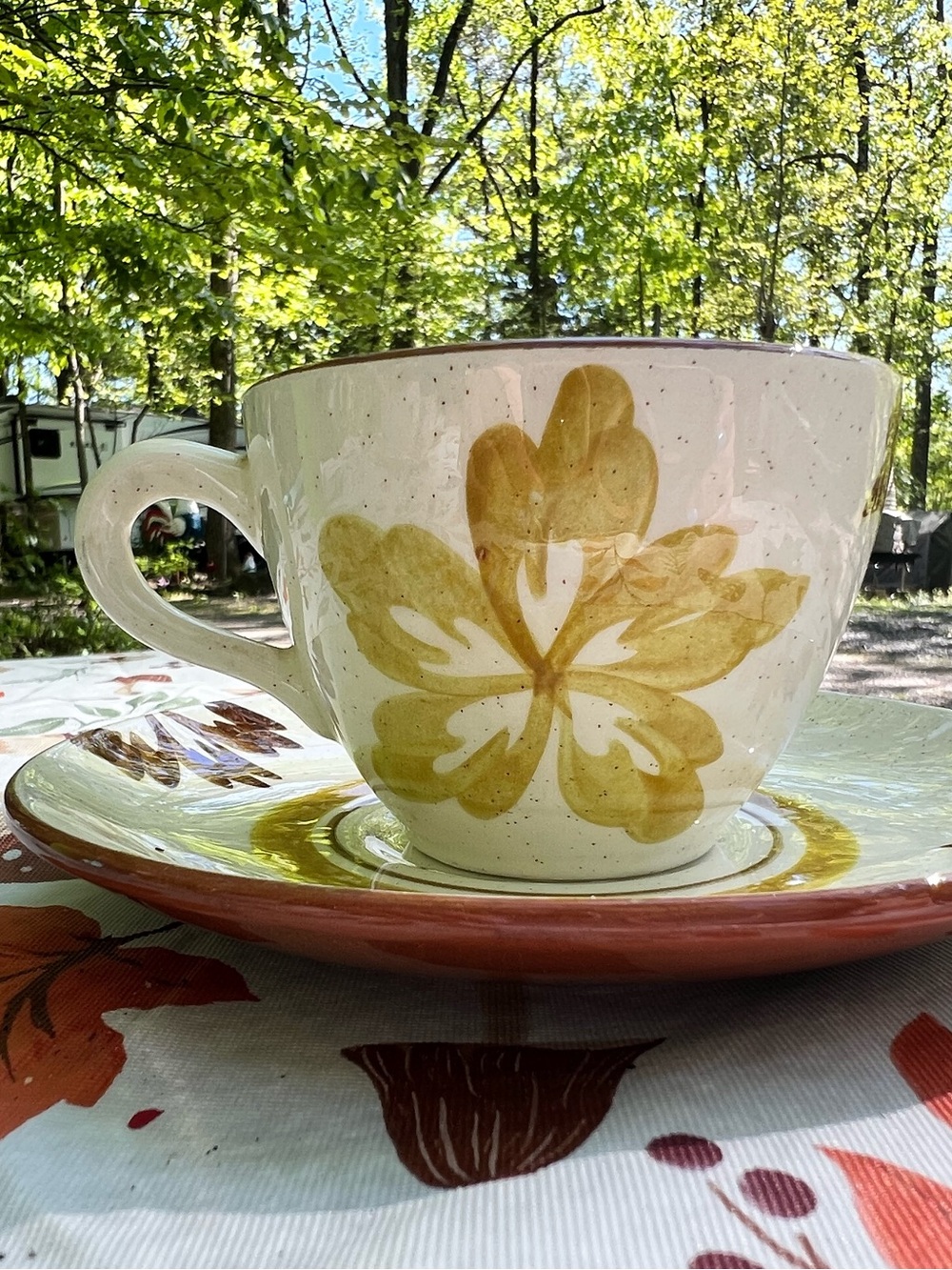 Stangl Pottery Paisley Hand Painted Tea Cup Saucer Set  Ivory Green Brown